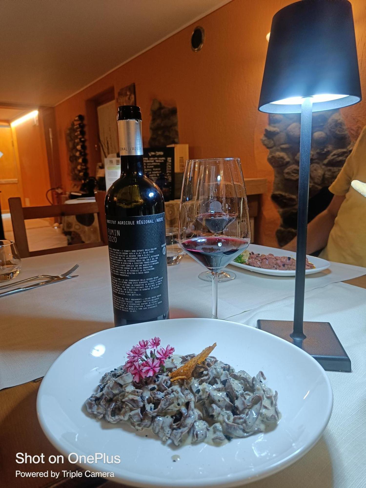 Lou Rose Villa Donnaz Екстериор снимка